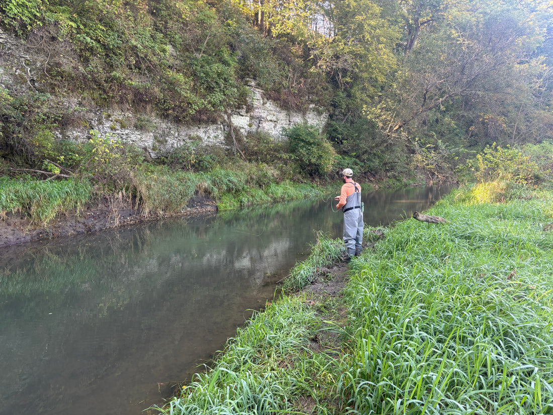 How Warm Water Affects Fly Fishing for Trout