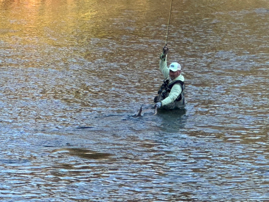Fly Fishing Guided Excursion